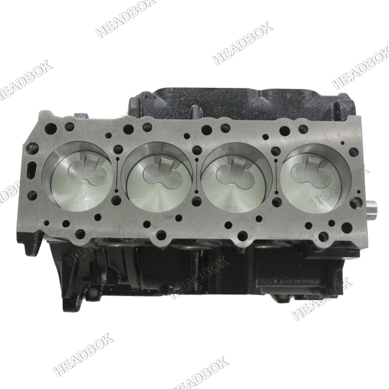 Auto Parts Engine Short Block Cylinder Block For MITSUBISHI